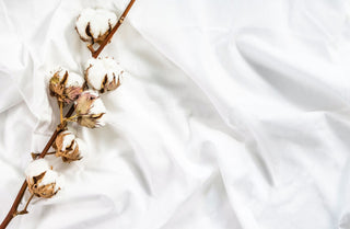 Our Fabrics
